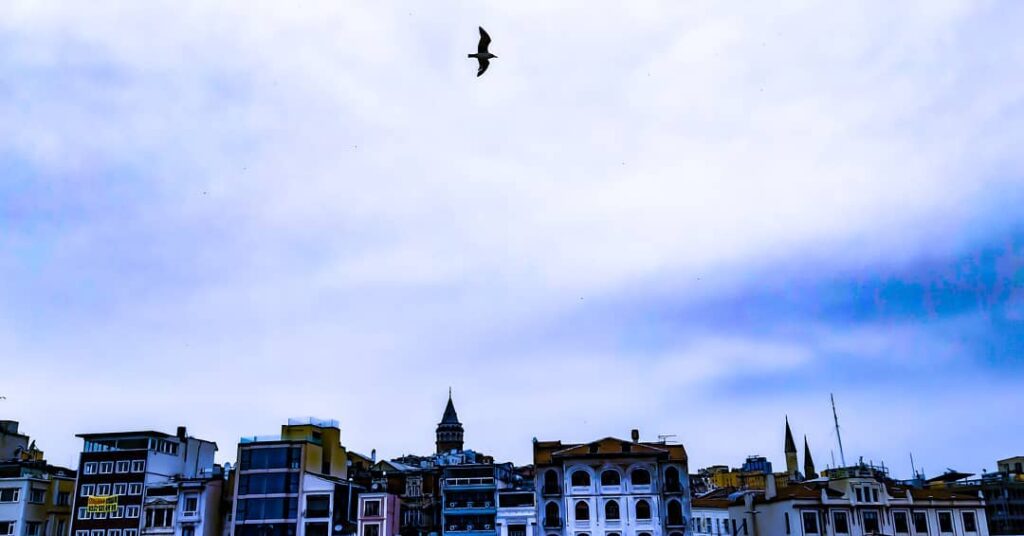 Kadraj galata