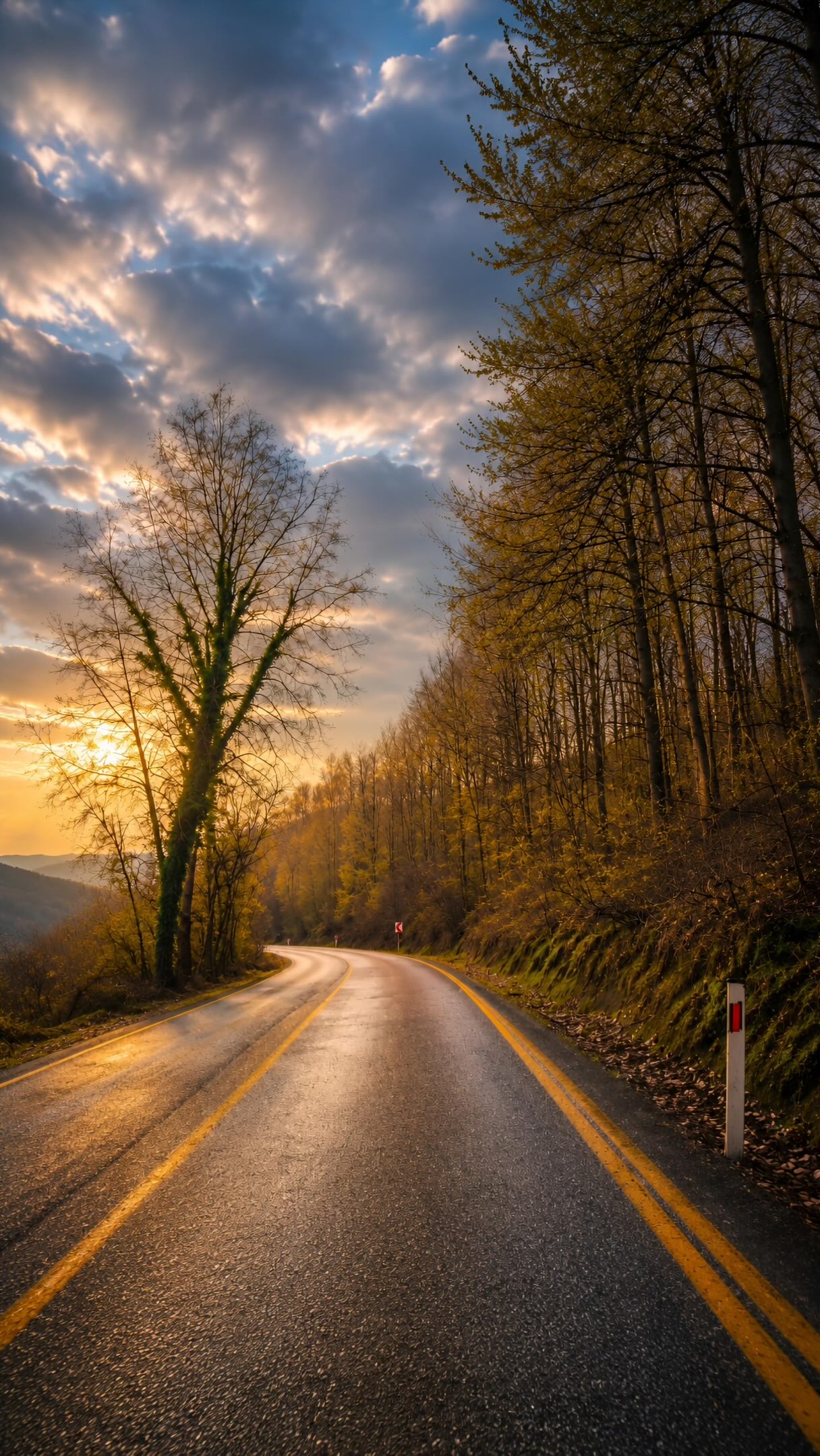 Yol manzarası